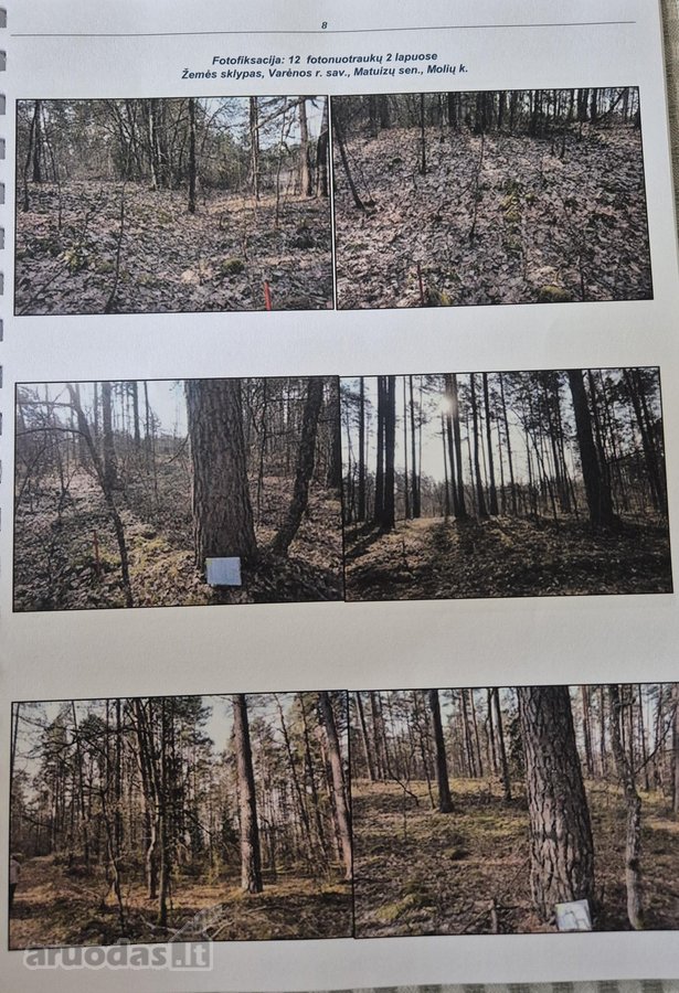 Parduodamas vaizdingas sklypas ant Merkio - nuotraukos Nr. 3