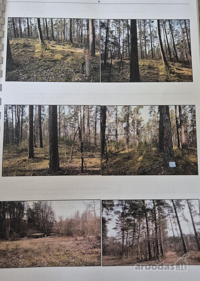 Parduodamas vaizdingas sklypas ant Merkio - nuotraukos Nr. 4