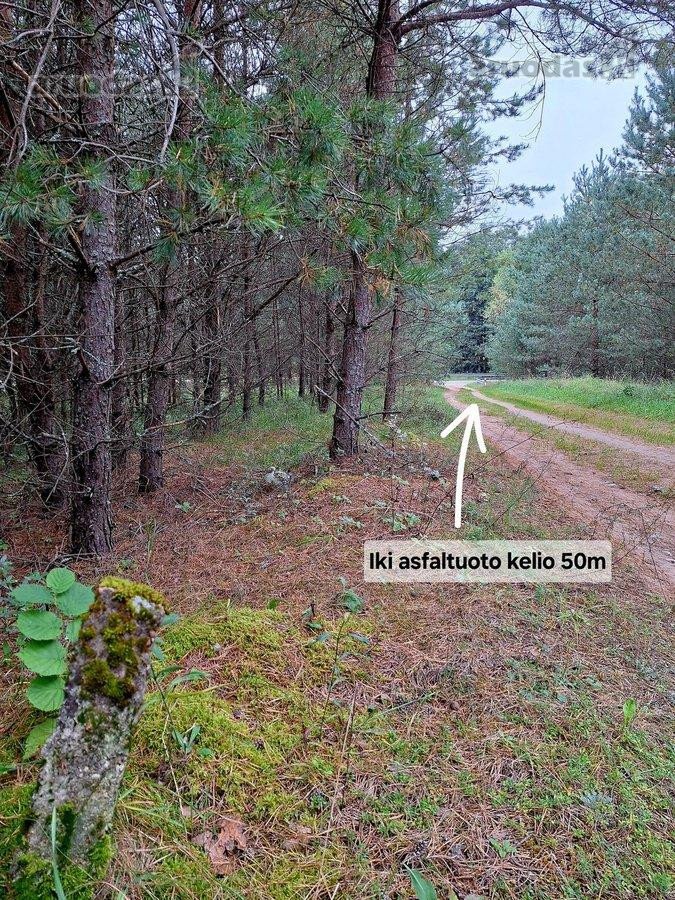 Parduodamas 1,47 ha žemės ūkio paskirties - nuotraukos Nr. 5