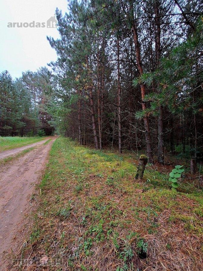 Parduodamas 1,47 ha žemės ūkio paskirties - nuotraukos Nr. 7