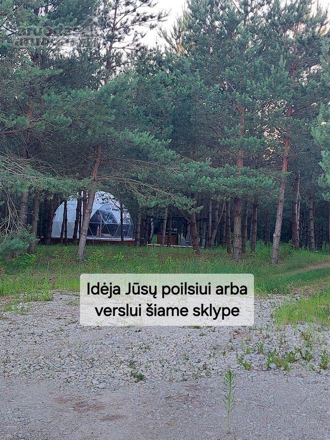 Parduodamas 1,47 ha žemės ūkio paskirties - nuotraukos Nr. 9
