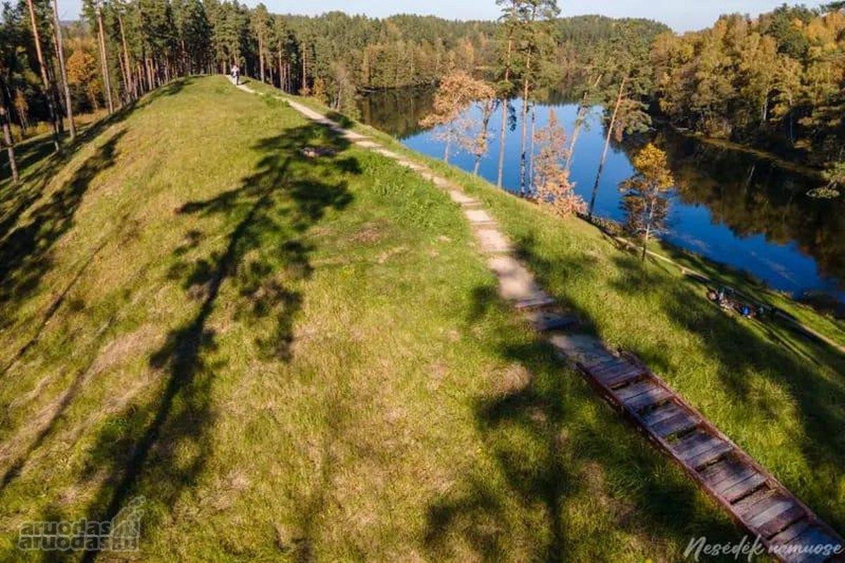 Parduodamas 1,47 ha žemės ūkio paskirties - nuotraukos Nr. 11