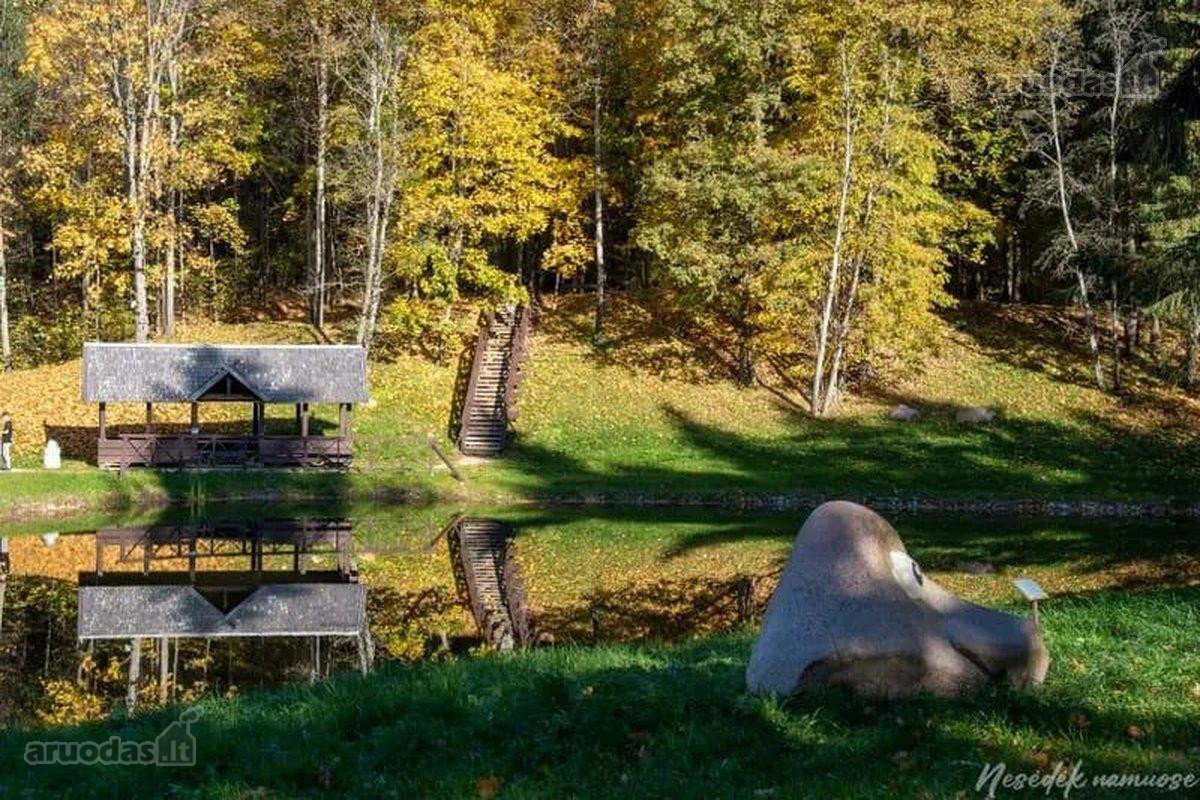 Parduodamas 1,47 ha žemės ūkio paskirties - nuotraukos Nr. 13