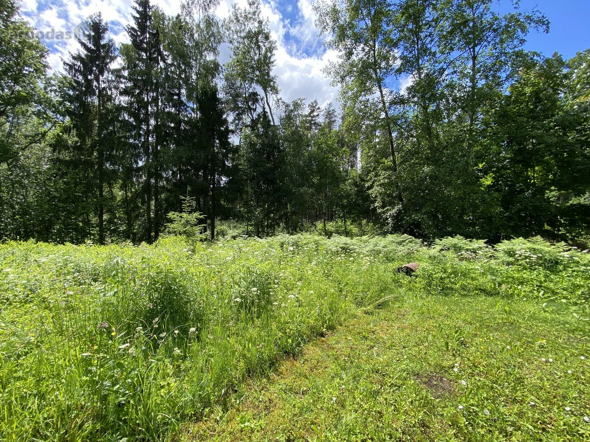 Parduodamas 6 arų sklypas Rastinėnuose, Mėtų - nuotraukos Nr. 5