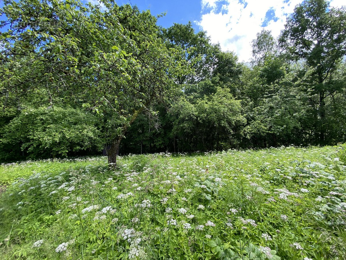 Parduodamas 6 arų sklypas Rastinėnuose, Mėtų - nuotraukos Nr. 4
