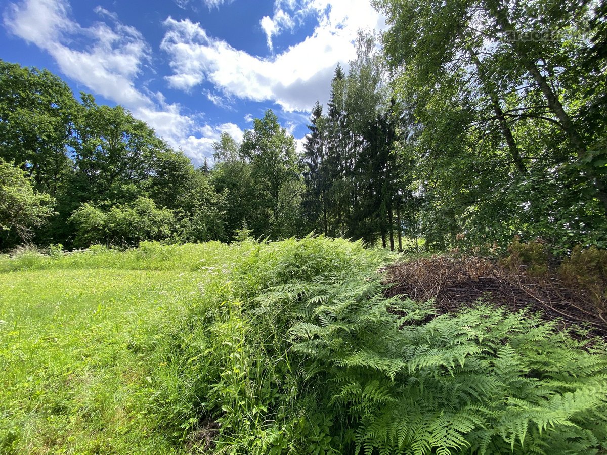 Parduodamas 6 arų sklypas Rastinėnuose, Mėtų