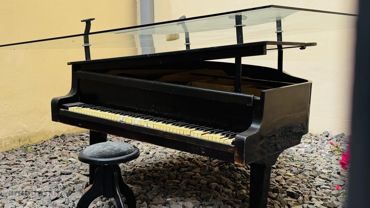 Klasikinės muzikos apsuptyje, nuomojamas - nuotraukos Nr. 17
