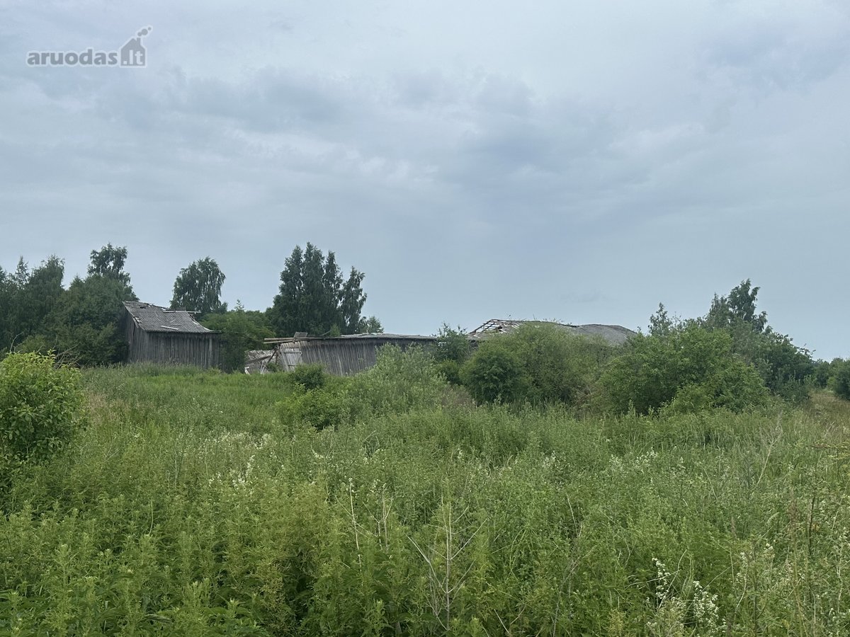Parduodamas Pastatas – Kluonas Rupeikių k., - nuotraukos Nr. 10
