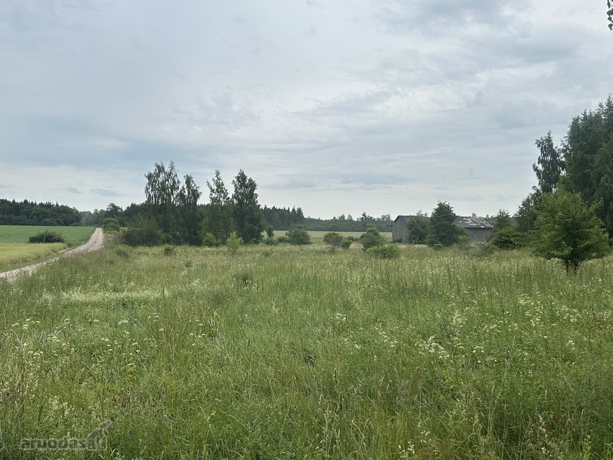 Parduodamas Pastatas – Kluonas Rupeikių k., - nuotraukos Nr. 11