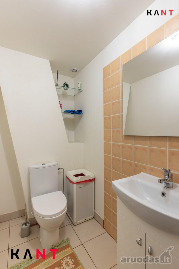 Nuomojamos 192 m2 mansardiniame - nuotraukos Nr. 8