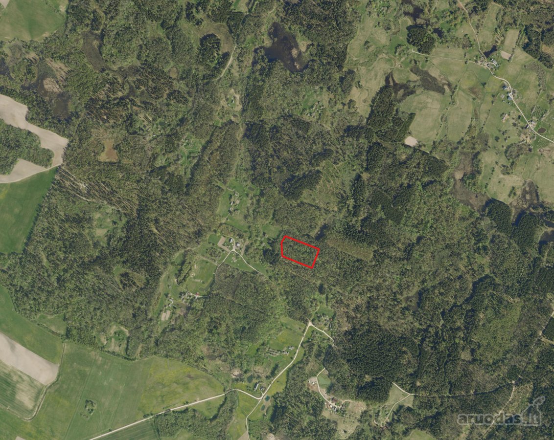 Parduodamas miškas Stirbaičių kaime - nuotraukos Nr. 3