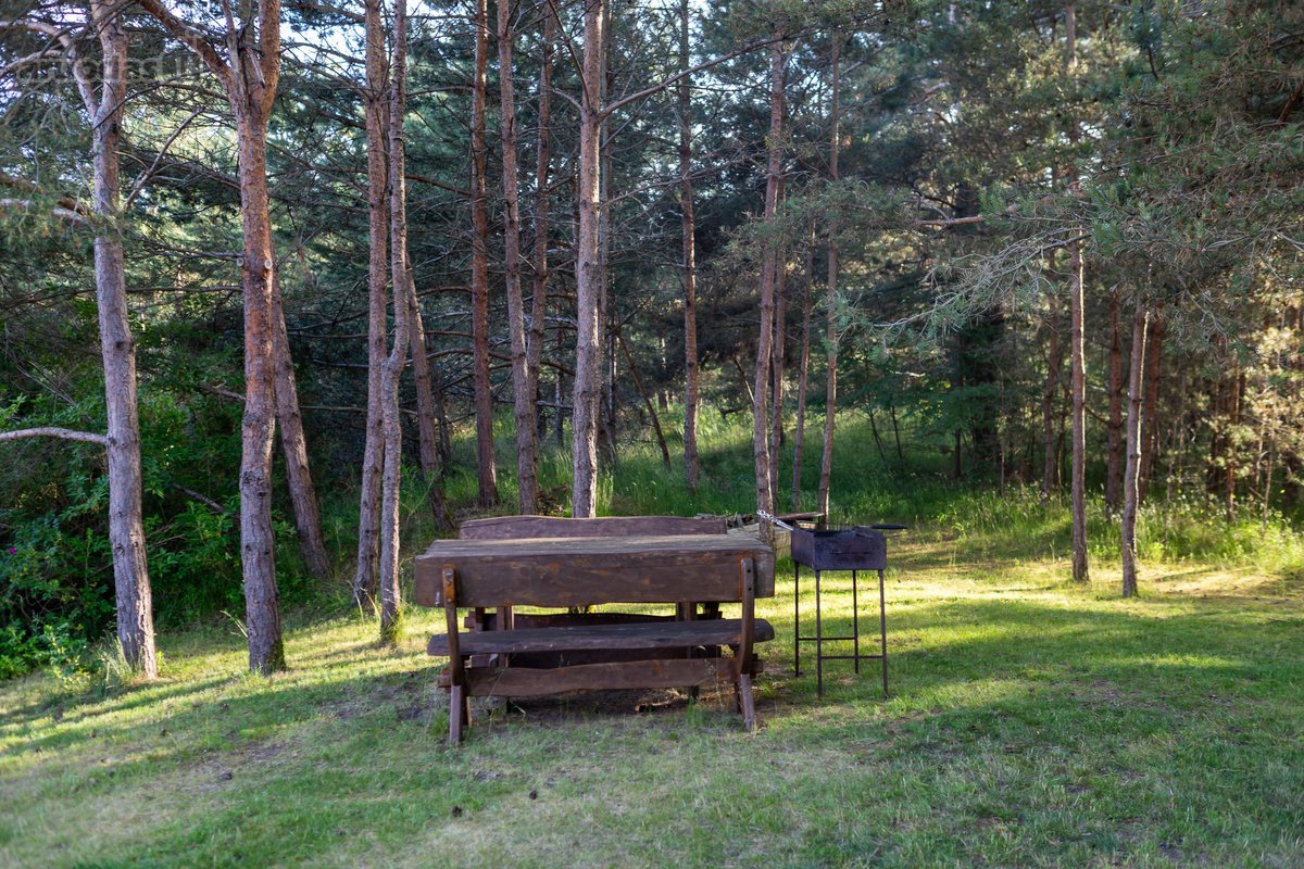 Išskirtinis Kotedžas Investicijai Nidos - nuotraukos Nr. 36