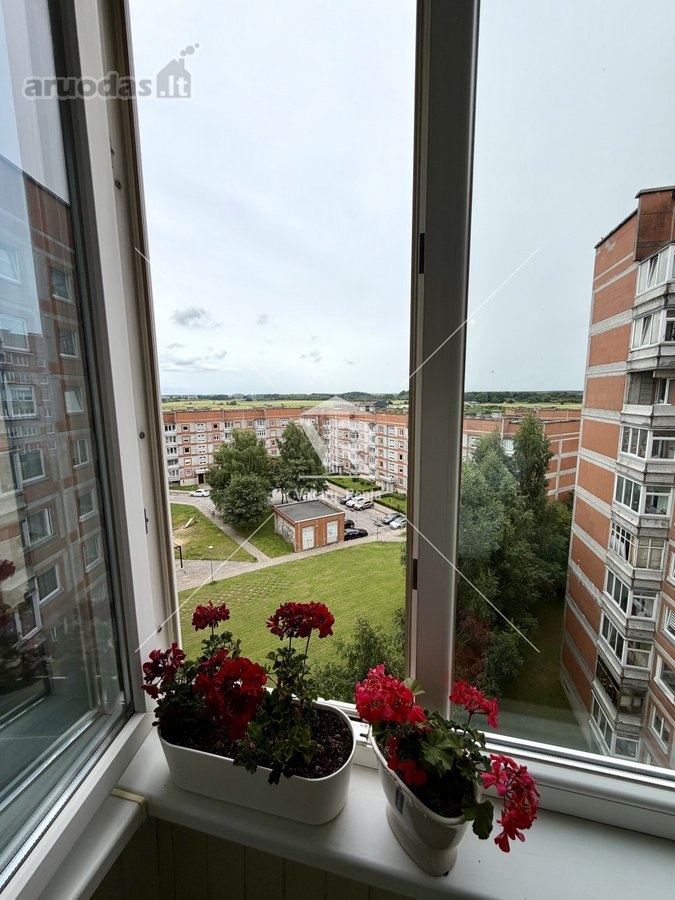 Parduodamas erdvus ir labai tvarkingas 58,52 - nuotraukos Nr. 13