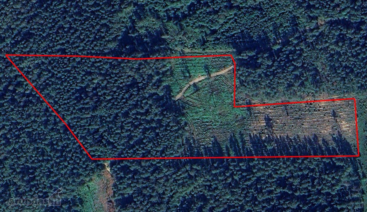 Miškas Pabradės sen., Gužių k. 5,45 ha