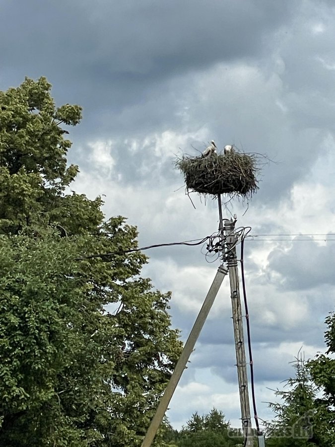 Parduodamas išskirtinis 71 arų namų valdos - nuotraukos Nr. 16