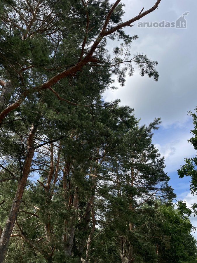Parduodamas išskirtinis 71 arų namų valdos - nuotraukos Nr. 26