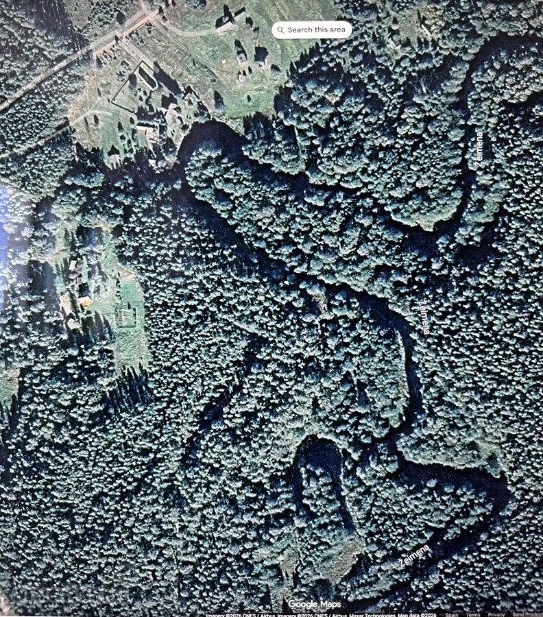 Parduodamas apie 4 ha miško ūkio paskirties