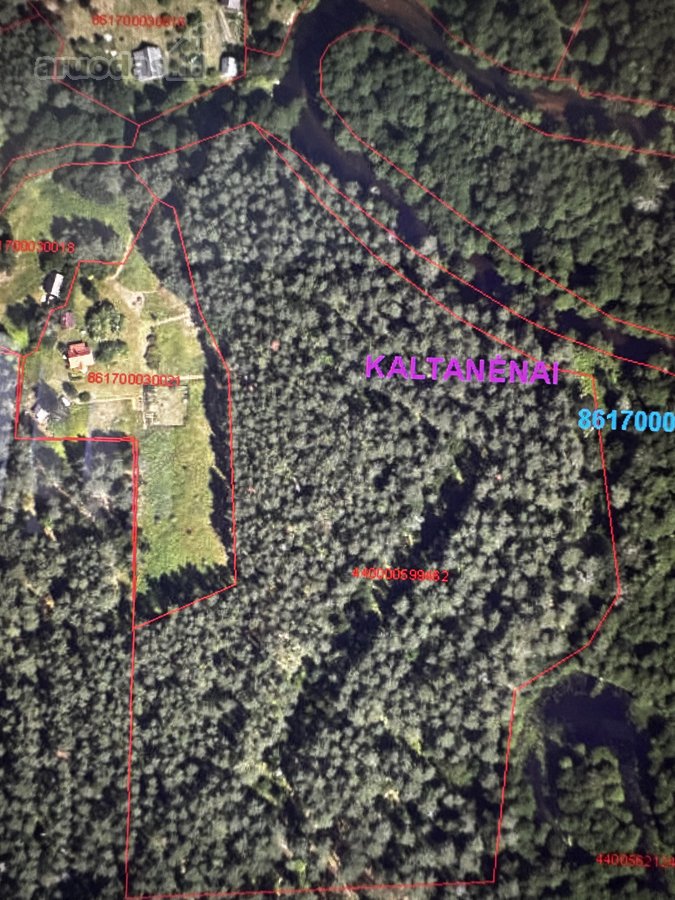 Parduodamas apie 4 ha miško ūkio paskirties - nuotraukos Nr. 4