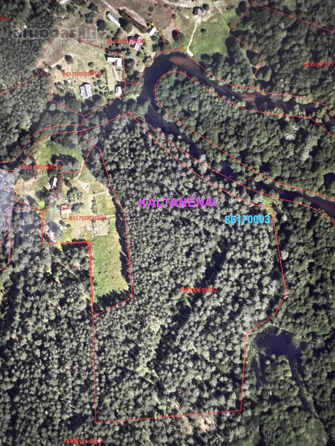 Parduodamas apie 4 ha miško ūkio paskirties - nuotraukos Nr. 3