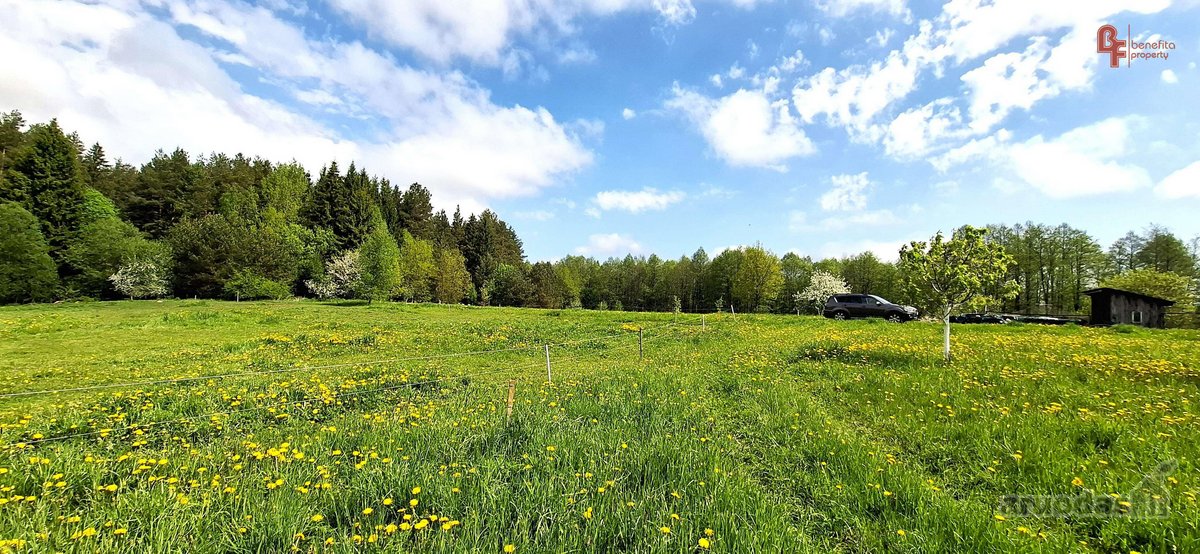 Parduodami 2 besiribojantys sklypai Molėtų r. - nuotraukos Nr. 4