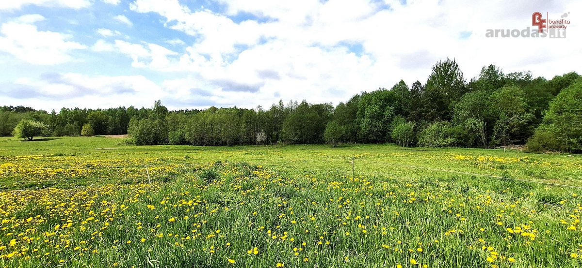 Parduodami 2 besiribojantys sklypai Molėtų r. - nuotraukos Nr. 2