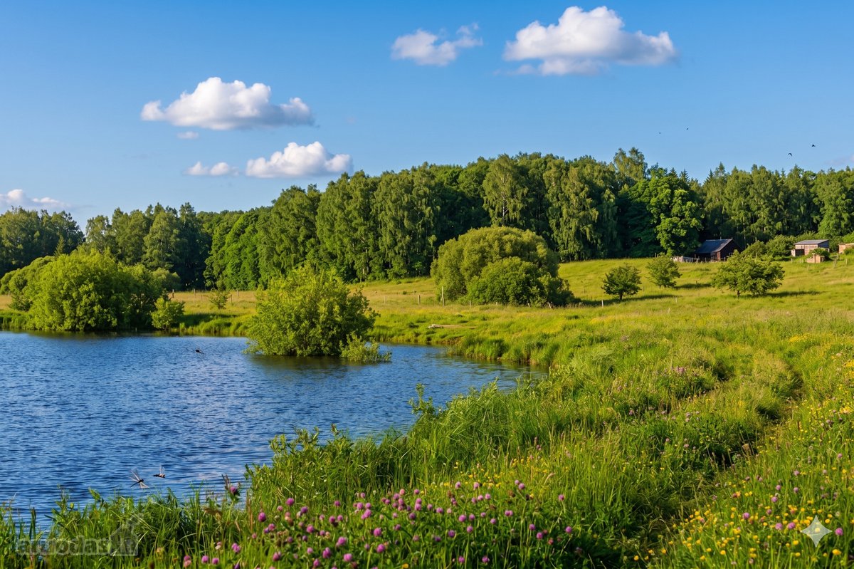 Klaipėdos r., Grikšų k. parduodamas 51,85 arų - nuotraukos Nr. 4