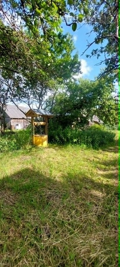 Parduodama sodyba Žižmų kaime. Yra elektra, - nuotraukos Nr. 13