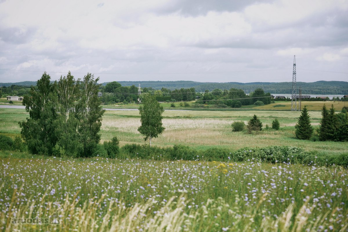 51,16 arų namų valda Peliūnuose, Miško g. 7. - nuotraukos Nr. 3