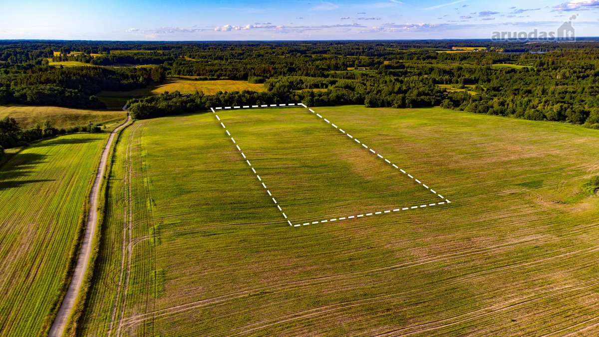 Parduodamas 5.7ha Dirbamas Žemės Ūkio - nuotraukos Nr. 5