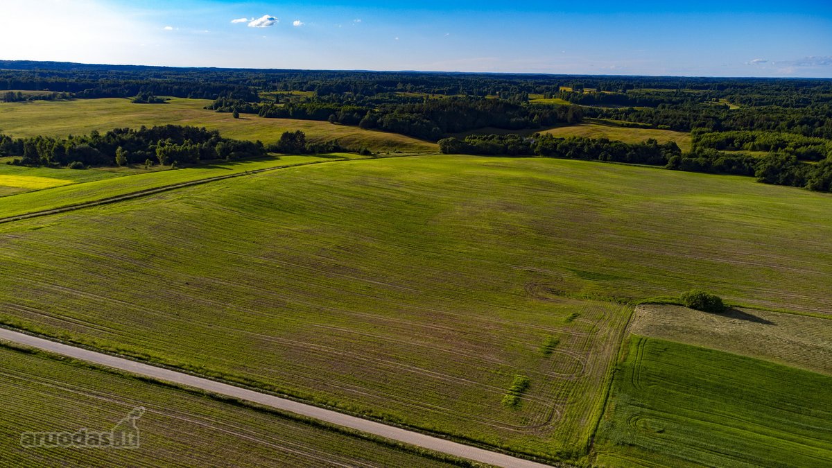 Parduodamas 5.7ha Dirbamas Žemės Ūkio - nuotraukos Nr. 6