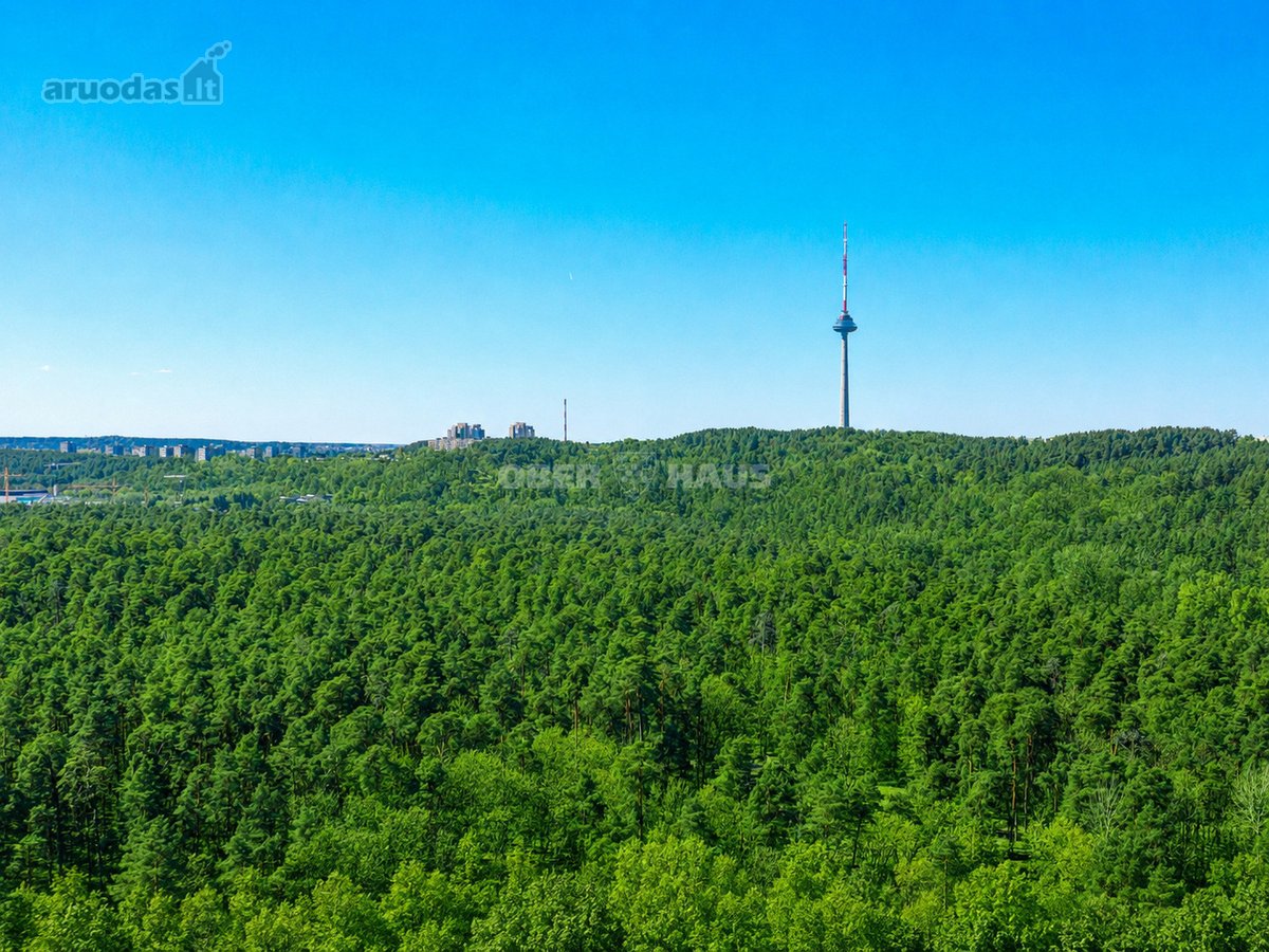 Parduodamas Namas Su 4,43 A Sklypo Dalimi - nuotraukos Nr. 10