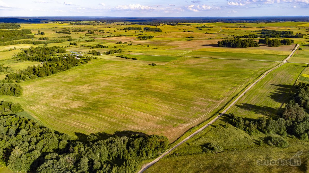 Parduodamas 5.7ha Dirbamas Žemės Ūkio - nuotraukos Nr. 8