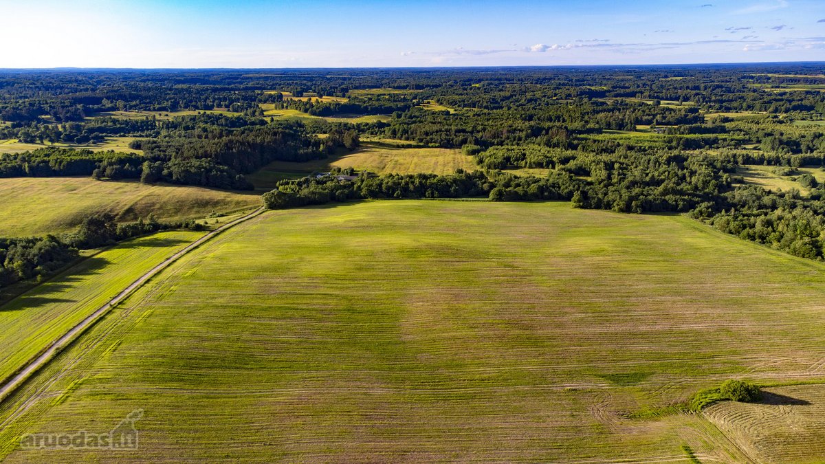 Parduodamas 5.7ha Dirbamas Žemės Ūkio - nuotraukos Nr. 10