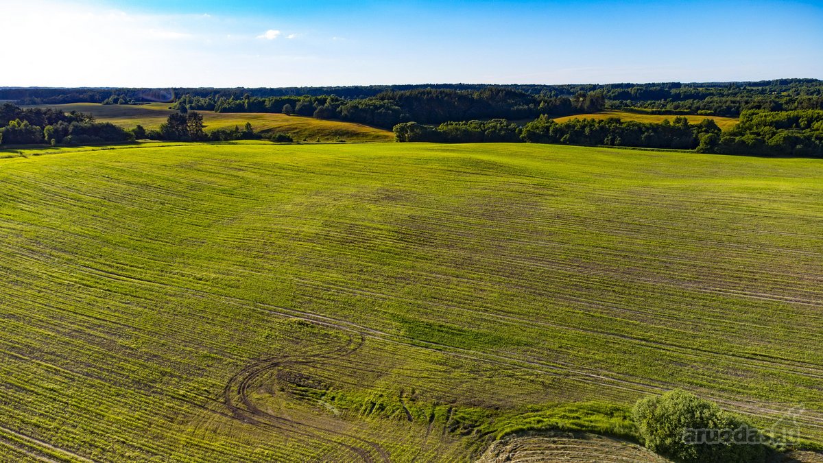 Parduodamas 5.7ha Dirbamas Žemės Ūkio - nuotraukos Nr. 11