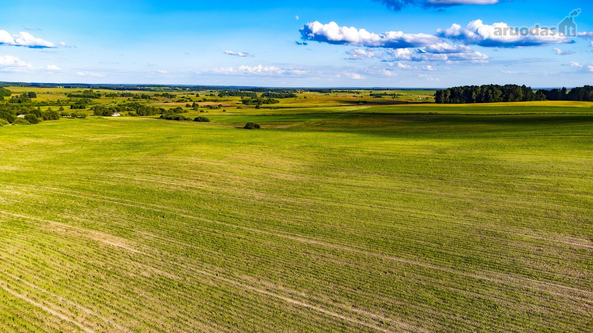 Parduodamas 5.7ha Dirbamas Žemės Ūkio - nuotraukos Nr. 12