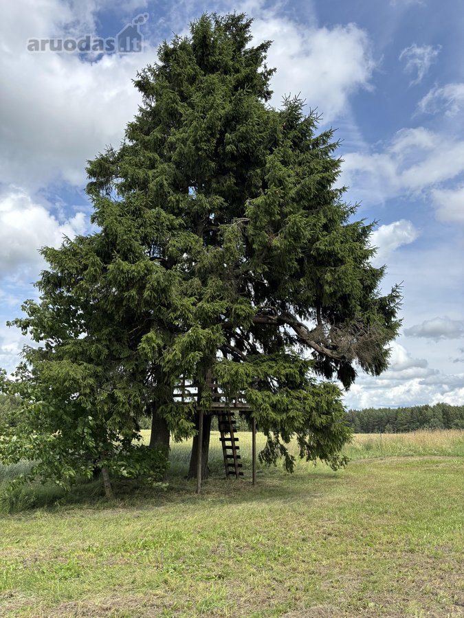 Parduodama Sodyba Su 2 Ha Žemės, Poilsio - nuotraukos Nr. 13
