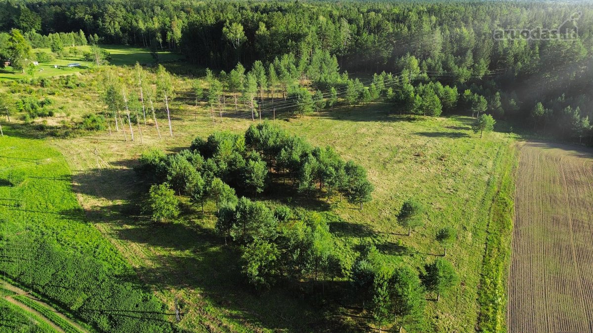 Bendras plotas 2,3802ha, miško paskirties 0