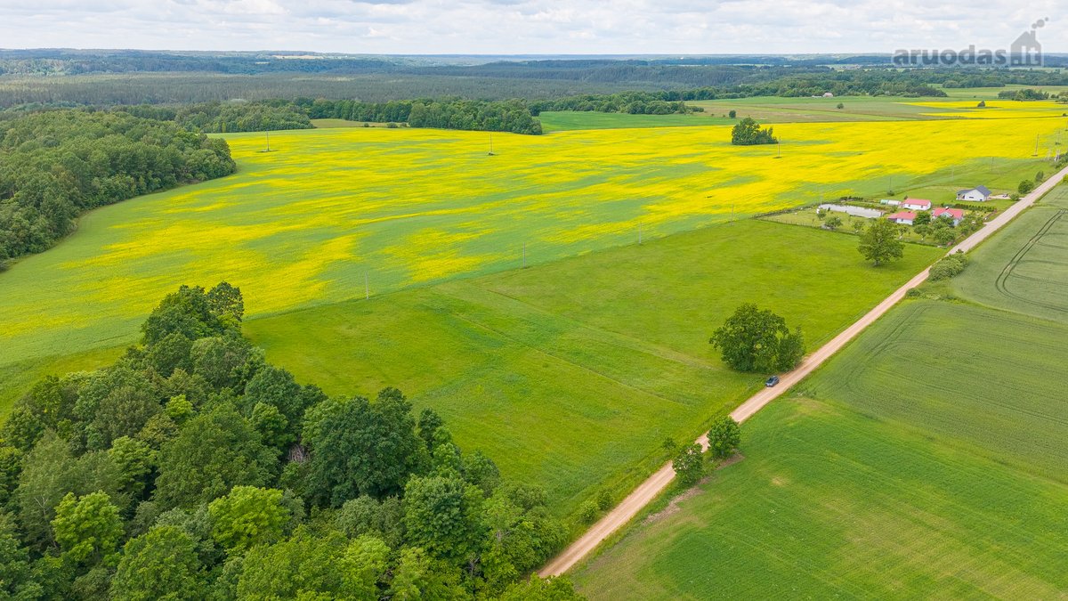 Parduodamas 2.4426 Ha Ploto Žemės Ūkio - nuotraukos Nr. 2