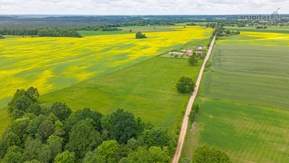Parduodamas 2.4426 Ha Ploto Žemės Ūkio - nuotraukos Nr. 3