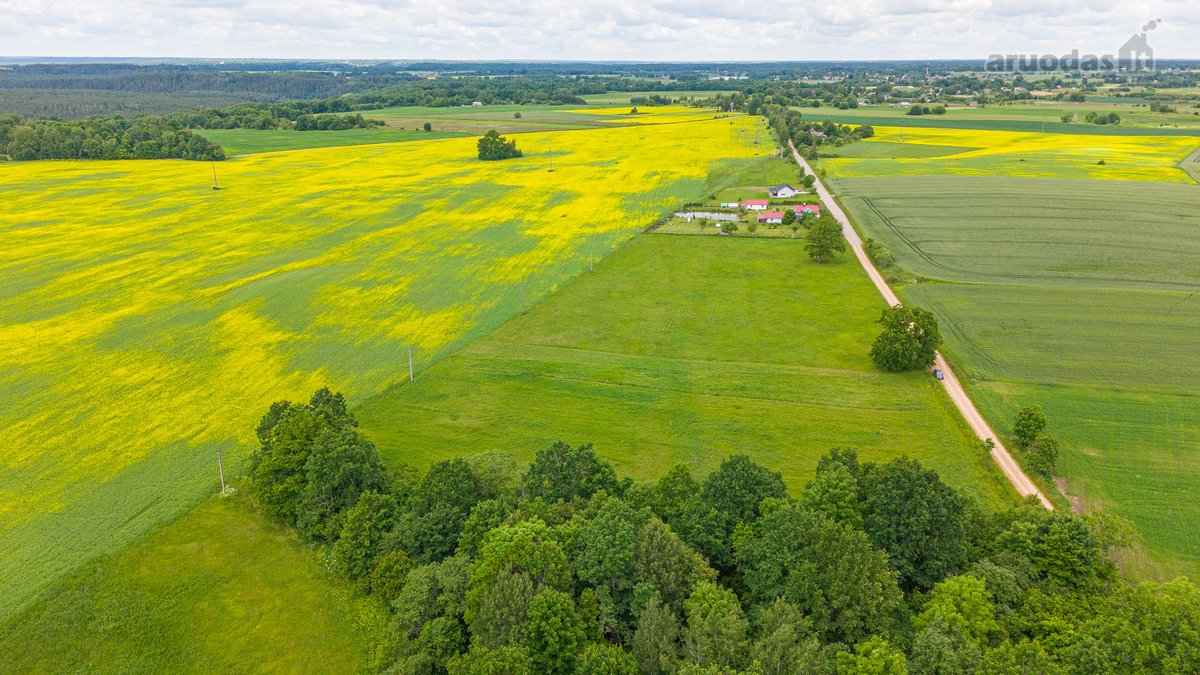 Parduodamas 2.4426 Ha Ploto Žemės Ūkio - nuotraukos Nr. 4