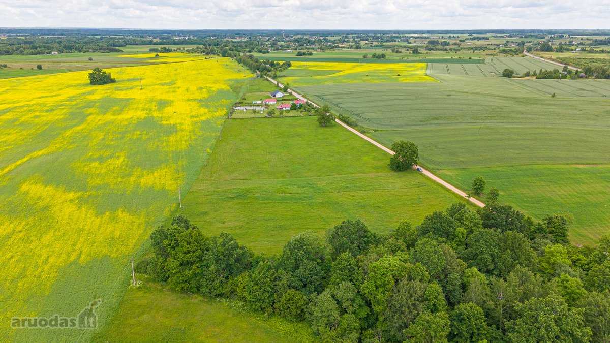 Parduodamas 2.4426 Ha Ploto Žemės Ūkio - nuotraukos Nr. 5