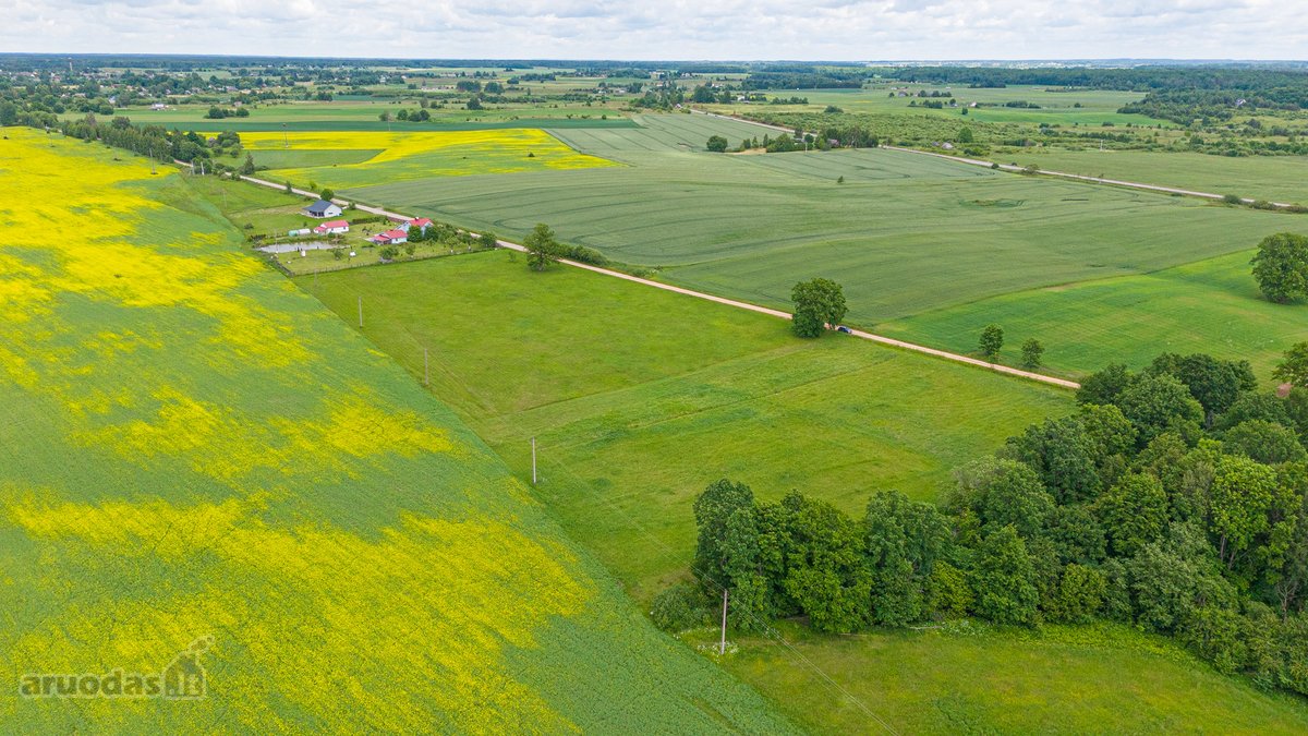 Parduodamas 2.4426 Ha Ploto Žemės Ūkio - nuotraukos Nr. 6