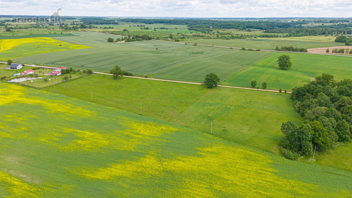 Parduodamas 2.4426 Ha Ploto Žemės Ūkio - nuotraukos Nr. 7