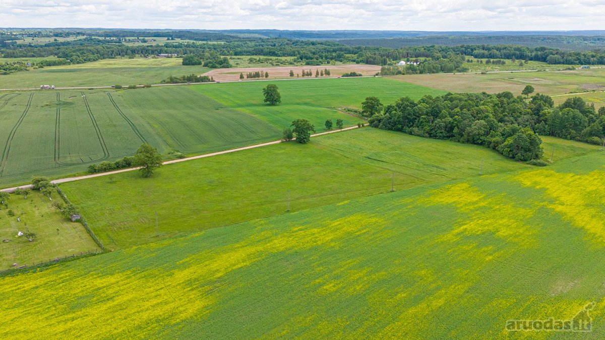 Parduodamas 2.4426 Ha Ploto Žemės Ūkio - nuotraukos Nr. 9