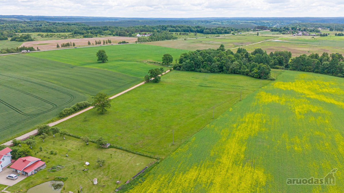 Parduodamas 2.4426 Ha Ploto Žemės Ūkio - nuotraukos Nr. 10