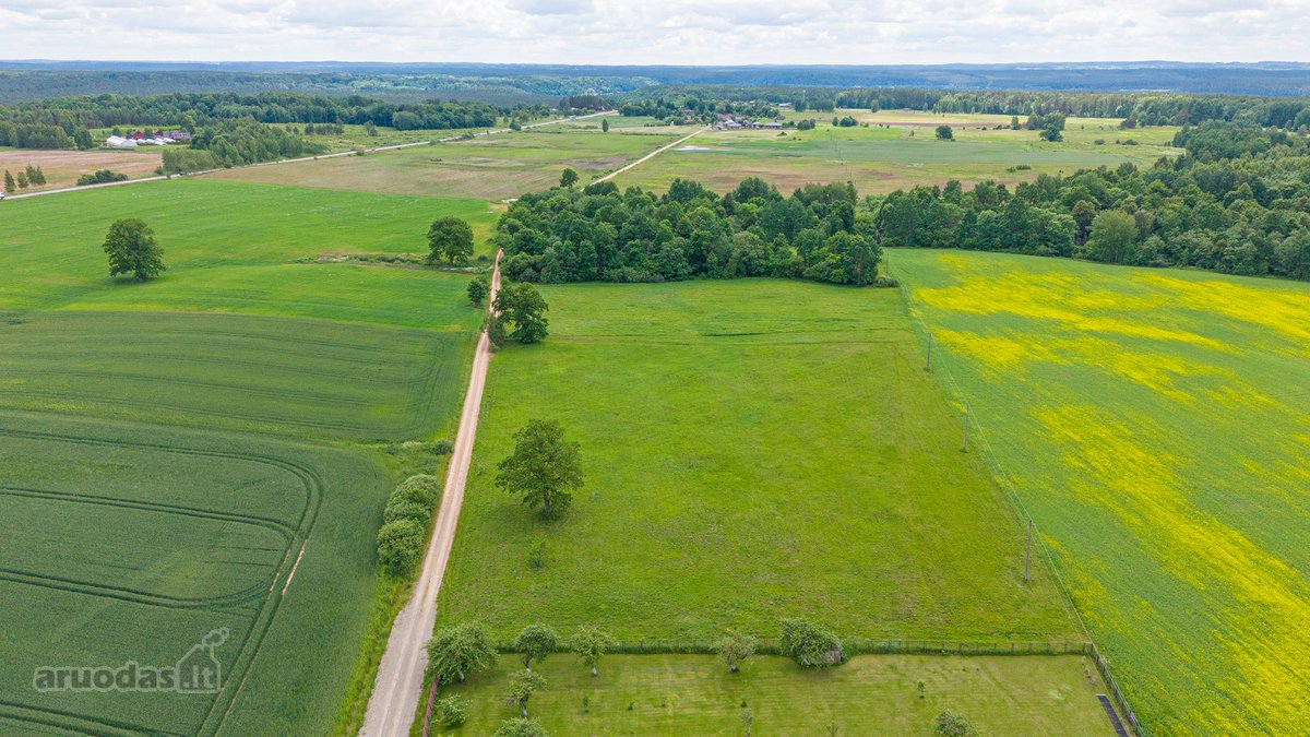 Parduodamas 2.4426 Ha Ploto Žemės Ūkio - nuotraukos Nr. 11