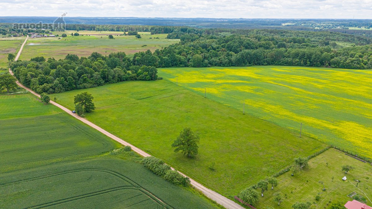 Parduodamas 2.4426 Ha Ploto Žemės Ūkio - nuotraukos Nr. 12