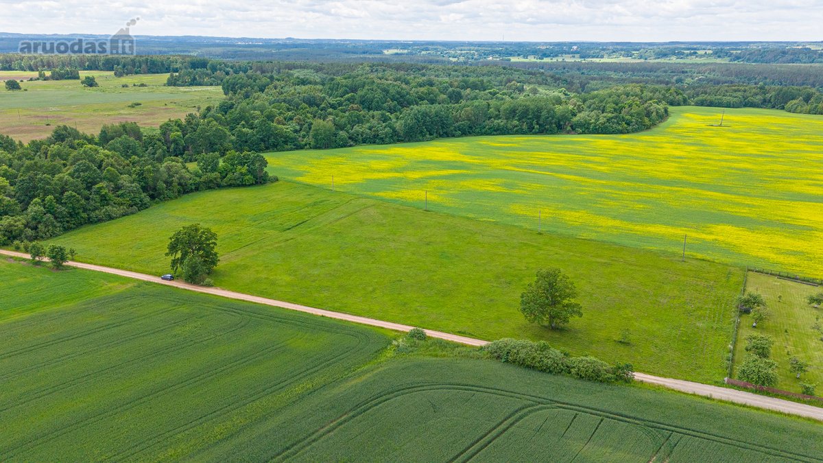 Parduodamas 2.4426 Ha Ploto Žemės Ūkio - nuotraukos Nr. 13