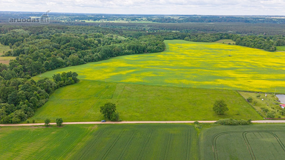 Parduodamas 2.4426 Ha Ploto Žemės Ūkio - nuotraukos Nr. 14