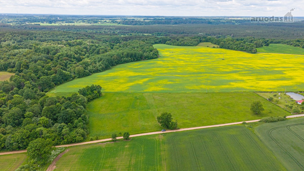 Parduodamas 2.4426 Ha Ploto Žemės Ūkio - nuotraukos Nr. 15